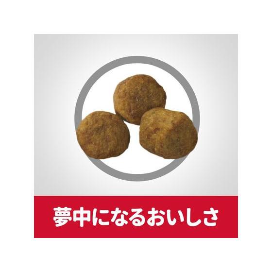 【お取り寄せ】日本ヒルズ サイエンス・ダイエット シニア 中粒 高齢犬用 3.3kg | ヒルズ | 02
