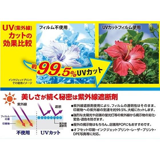アスカ 超特価sale開催 ラミネートフィルム Uv 100p F4003