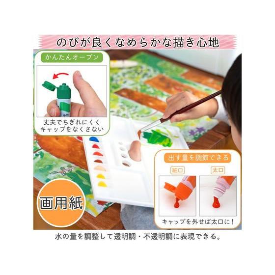 サクラクレパス マット水彩マルチ 12色 MWM12PE 水彩絵の具 画材