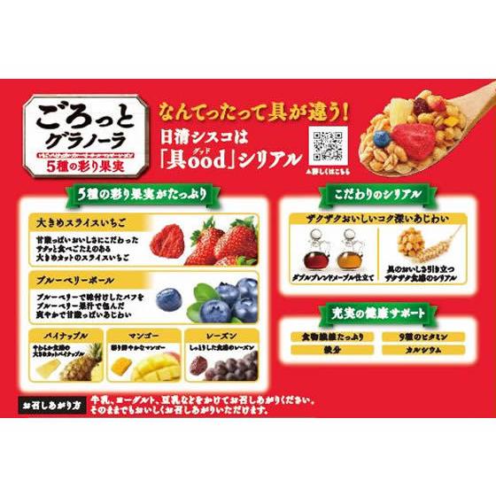 日清シスコ ごろっとグラノーラ 5種の彩り果実 400g Bg90 Jetprice 通販 Yahoo ショッピング