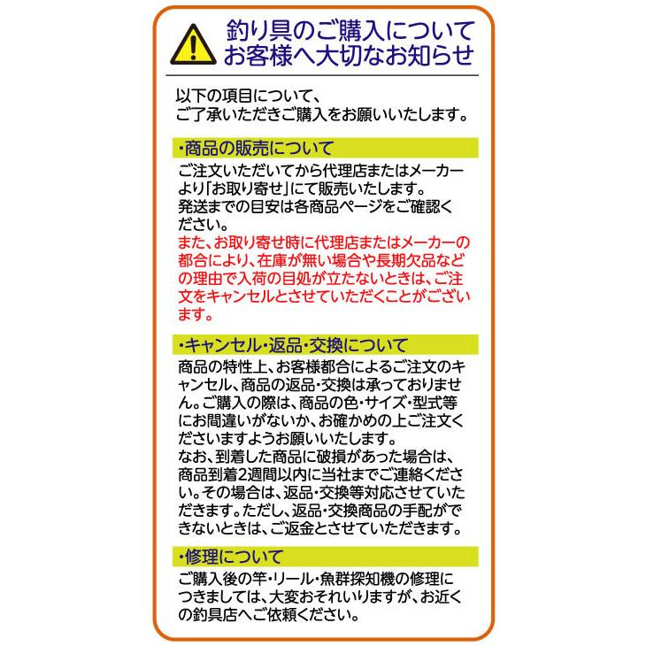 【お取り寄せ】ジャッカル JK ビッグバッカー 107 #イワシ ボーダーH  シーバス ヒラメ マゴチ ミノー ルアー ソルトウォーター 釣り具 アウトドア｜jetprice｜02