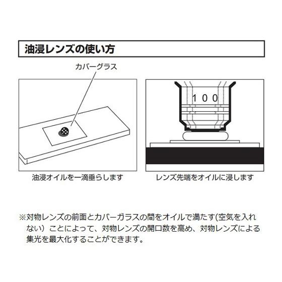 【お取り寄せ】アズワン クラシック生物顕微鏡 40~1000× BM-322 生物顕微鏡 顕微鏡各種 検査 分析機器の画像