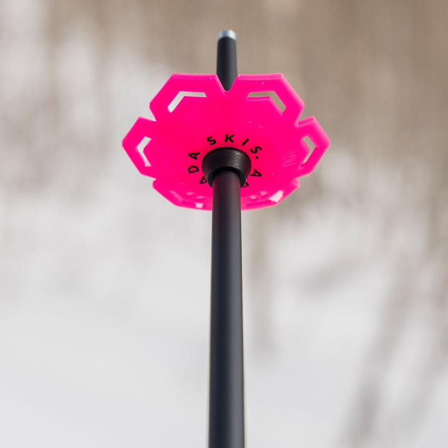 ARMADA（アルマダ） (取寄) レギオン スキー ポール - Armada Legion