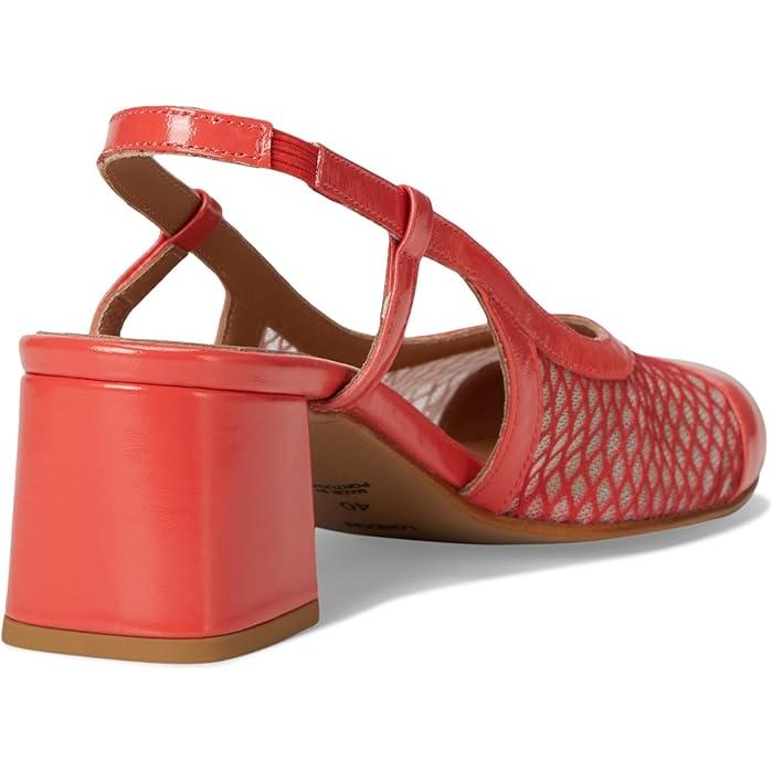 P最大17倍1/1限定 (取寄) フライロンドン レディース FLY LONDON women