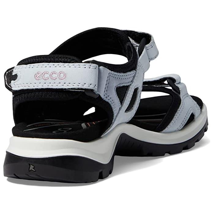 P最大17倍1/1限定 (取寄) エコー スポーツ レディース ユカタン