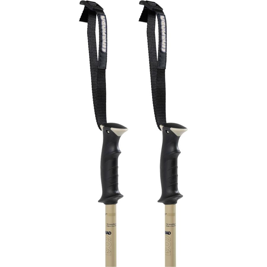 ARMADA（アルマダ） (取寄) トライアド スキー ポール - Armada Triad