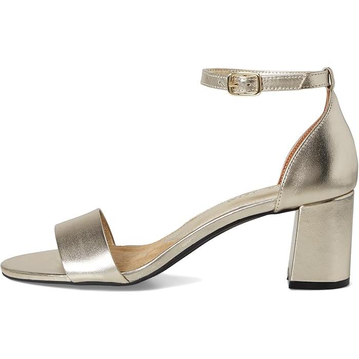 P最大17倍1/1限定 (取寄) デビッドテイト レディース タイムレス David