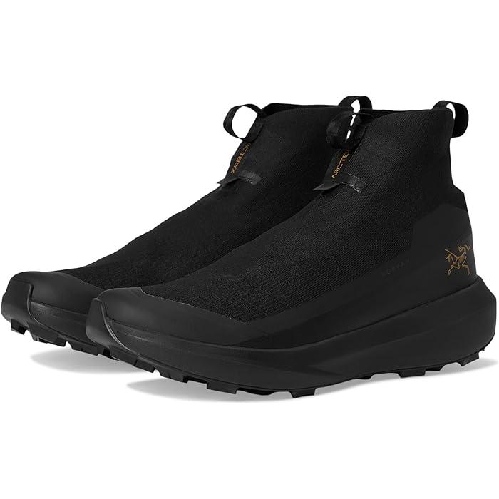 ARC'TERYX（アークテリクス） P最大21倍12/19-21限定 (取寄) メンズ