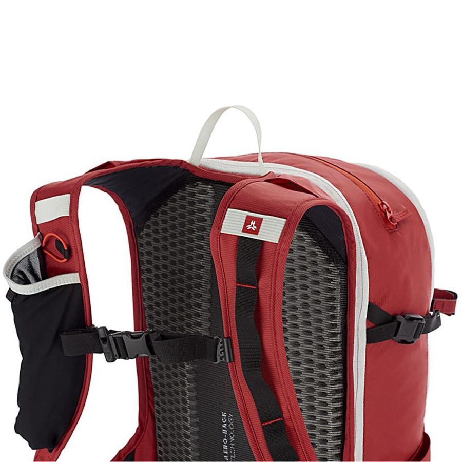 ARVA P最大17倍1/1限定 (取寄) アルヴァ ツアー 25L バックパック ARVA