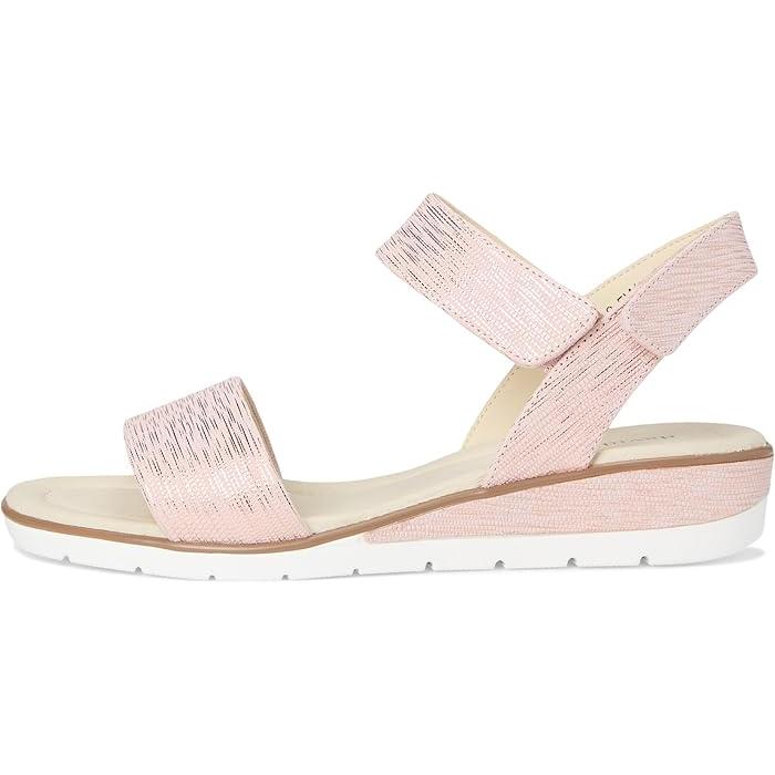 P最大17倍1/1限定 (取寄) デビッドテイト レディース スカラ David