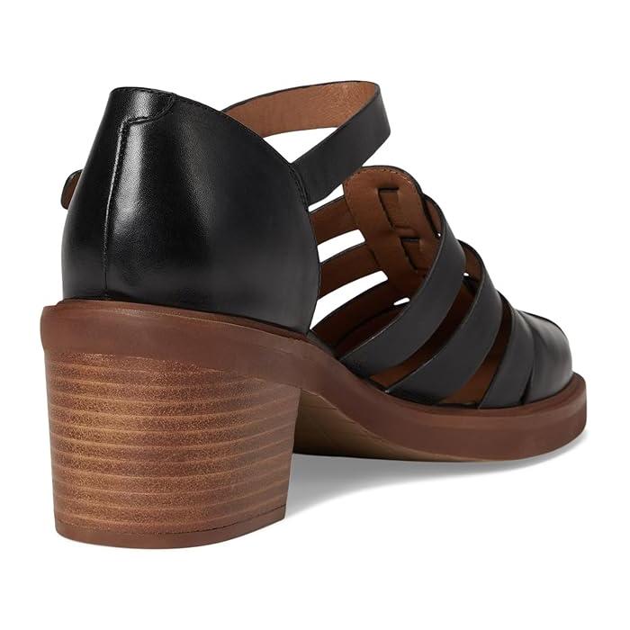 P最大17倍1/1限定 (取寄) セイシェル レディース シネマティック