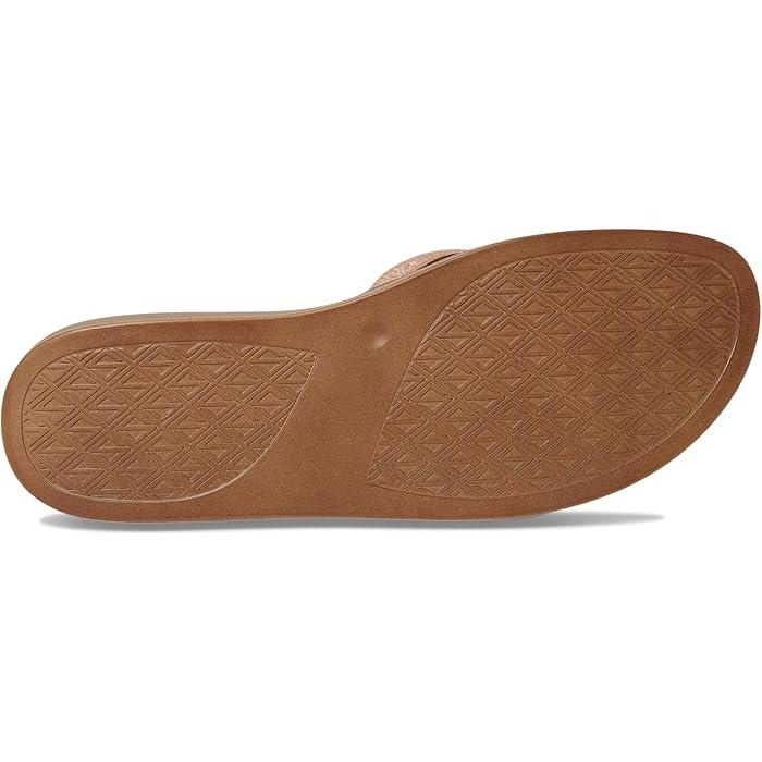 P最大17倍1/1限定 (取寄) ドナルドプリナー レディース フィフィ