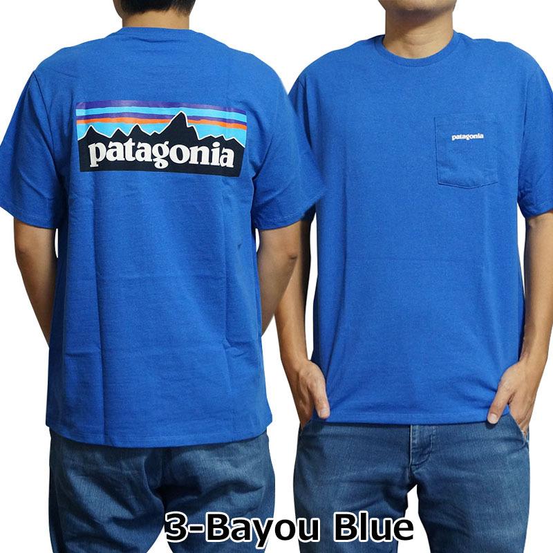 patagonia（パタゴニア） Tシャツ メンズ オーガニックコットン バック