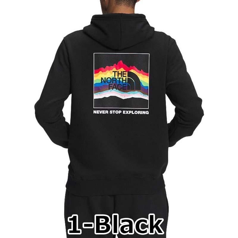 ノースフェイス　プライドロゴパーカー　L ノースフェイス プライドロゴパーカー L THE NORTH FACE（ザ