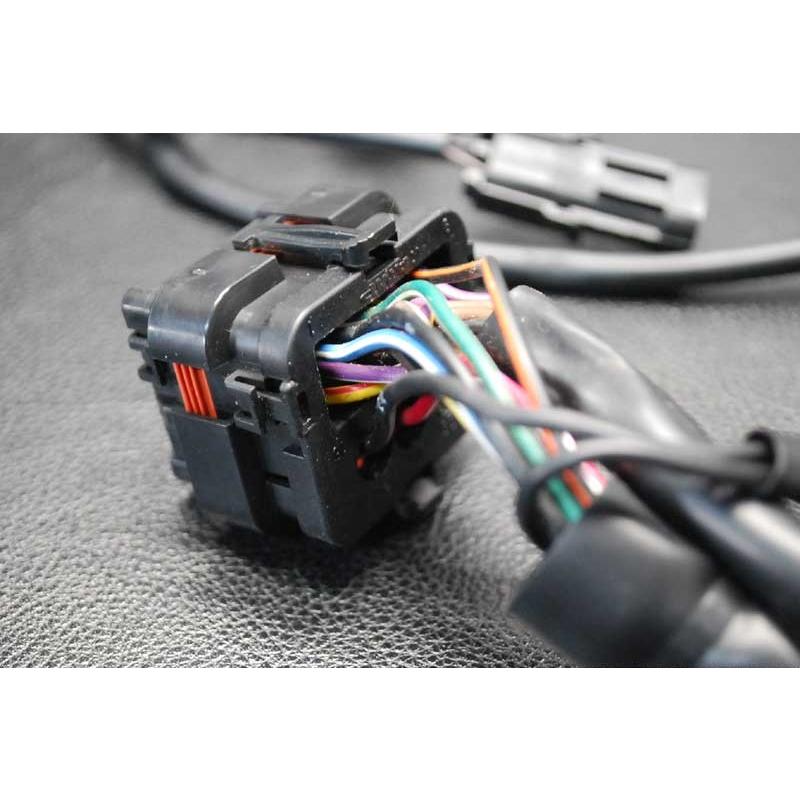 シードゥ XP LIMITED 1998年モデル 純正 MAIN HARNESS ASS'Y シードゥ XP LIMITED 1998年モデル 純正 MAIN HARNESS ASS'Y