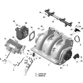 SEADOO GTX 300'19 OEM section (Air-Intake-Manifold-And SEADOO GTX 300'19 OEM section (Air-Intake-Manifold-And