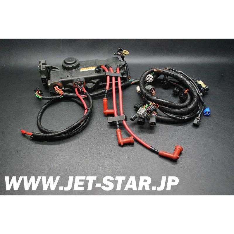 ヤマハ GP1300R 2004年モデル 純正 ワイヤー ハーネス ヤマハ GP1300R 2004年モデル 純正 ワイヤー ハーネス