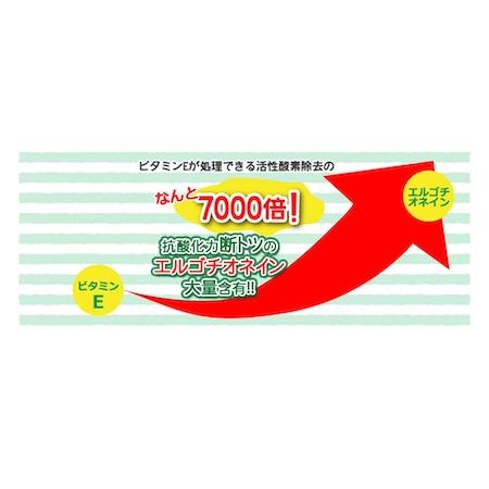 賞味期限2026年8月末】タモギタケ 黄金たもぎ茸 サプリメント 3袋