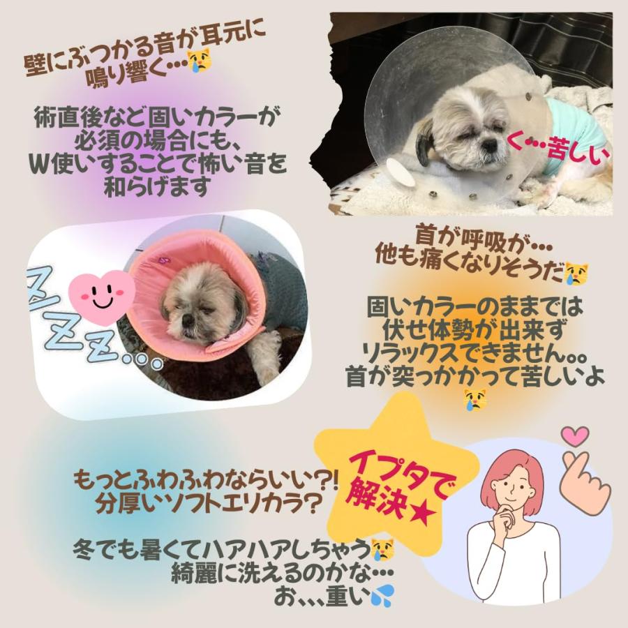 JEWELCAKE（ジュエルケイク） 【JEWELCAKE公式】＼獣医師監修