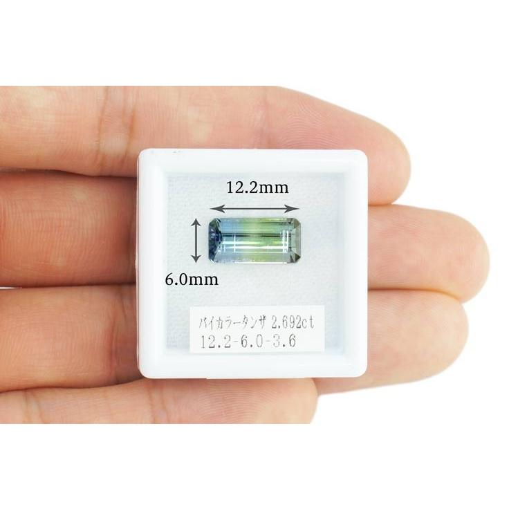 天然バイカラータンザナイト 2.692ct タンザニア産 ゾイサイト 天然バイカラータンザナイト 2.692ct タンザニア産 ゾイサイト