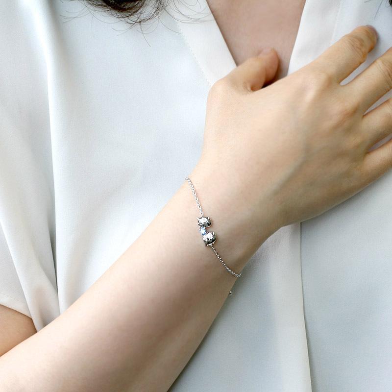 San-X（サンエックス） すみっコぐらし【 とかげ&とかげ（本物