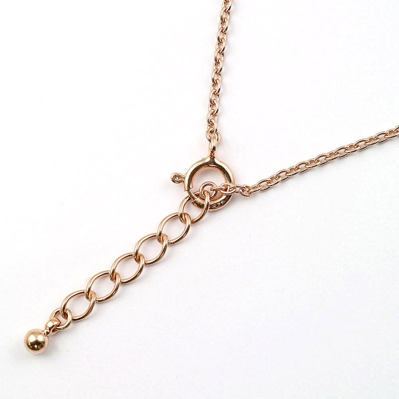 San-X（サンエックス） すみっコぐらし【 とかげ&とかげ（本物