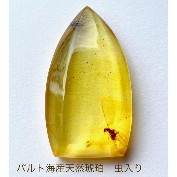 【バルト海産】虫入りコハク(虫入りアンバー) ハチ目の虫を内包した、バルト海産虫入り琥珀（Amber）。光が当たると