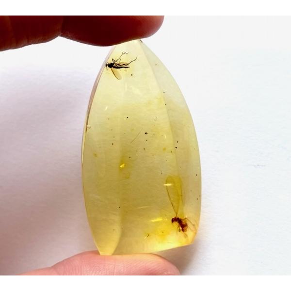 天然琥珀　虫入り琥珀　 ルース　バルト海産高級天然琥珀　大きな虫入り　インセクトアンバー　パワーストーンの画像