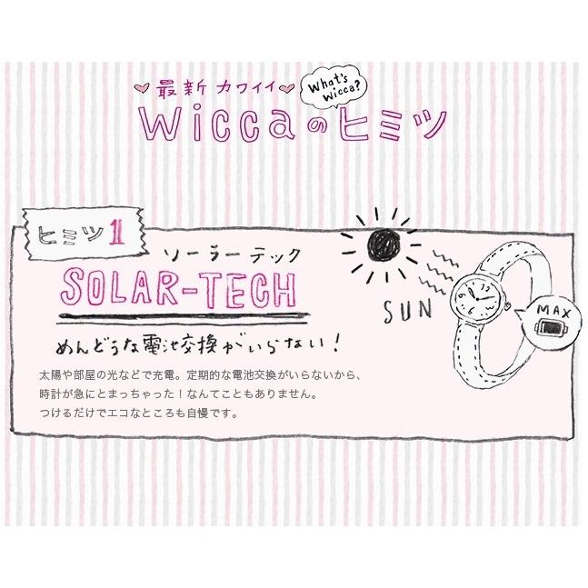 wicca '25-3 ウィキッド ふたりの魔女 スペシャルモデル wicca '25-3 ウィキッド ふたりの魔女 スペシャルモデル