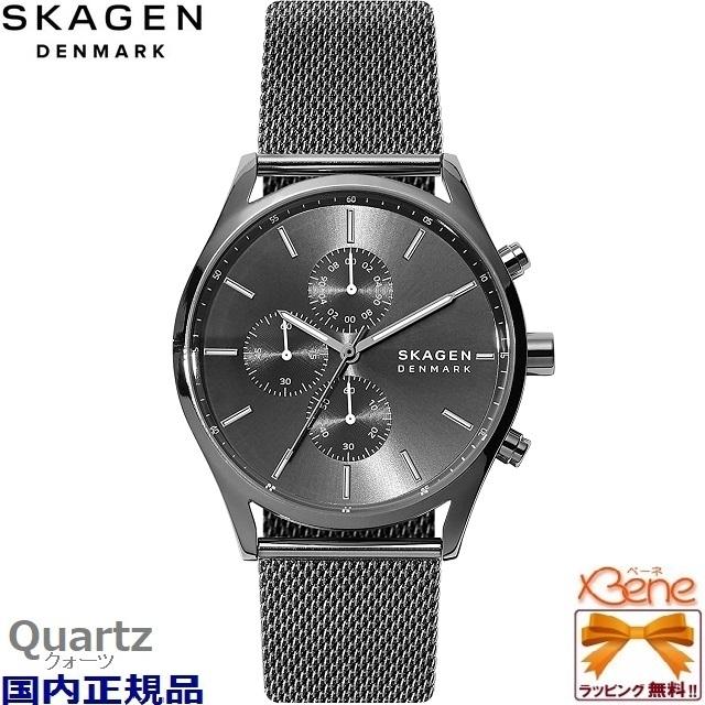 HOLST 新品!正規品 SKAGEN/スカーゲン メンズクオーツ アナログ グレー 