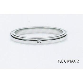 6r1a02
