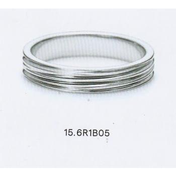 6r1b05