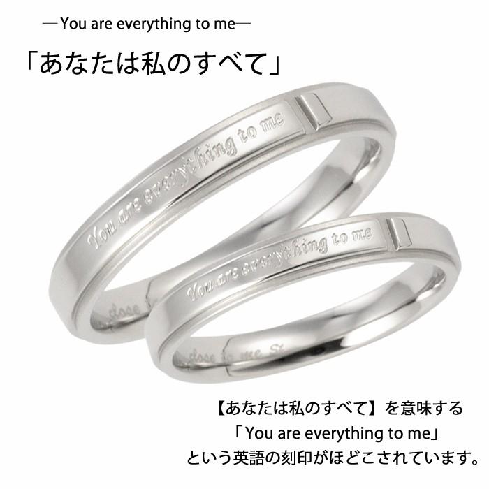 ペアリング 指輪 リング 刻印対象 人気 ブランド Close To Me St ステンレス ペア指輪 Pa Sr11 004 プレシャスジュエリーyahoo 店 通販 Yahoo ショッピング