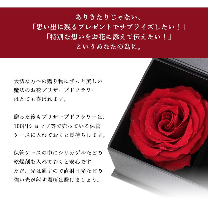 ペアリング 人気ブランド 30代 40代 20代 ブランド カップル シルバー 2本セット 指輪 名入れ 刻印 クリスマス 奇数サイズのみ 大きさ幅：約4 /23金YG特殊コーティング K23RGP