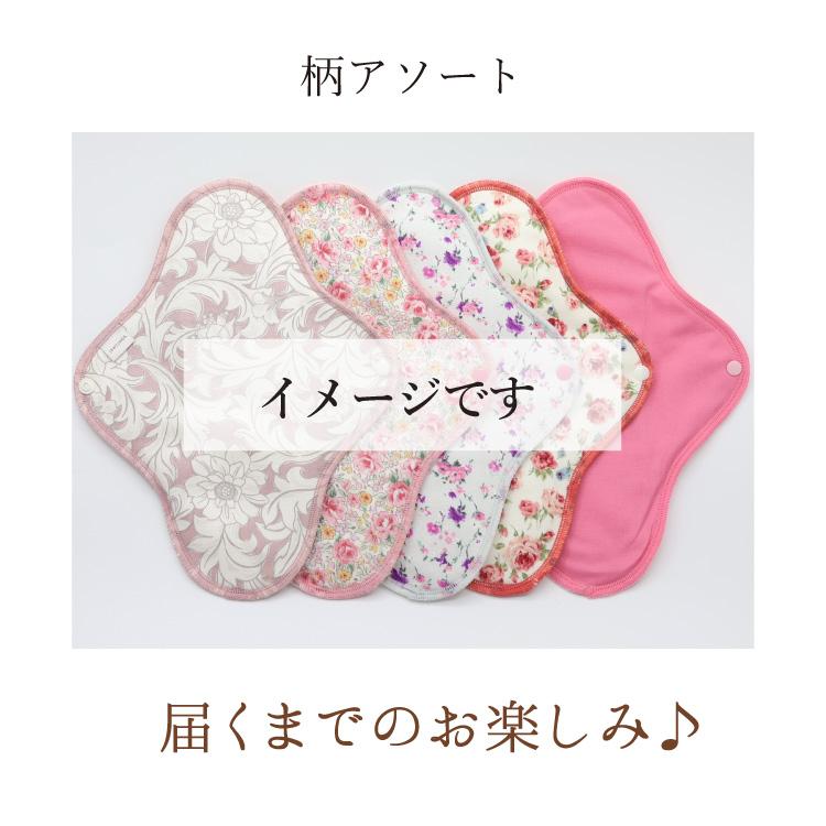 JEWLINGE（ジュランジェ） 布ナプキン お試し 一体型 5枚 セット M