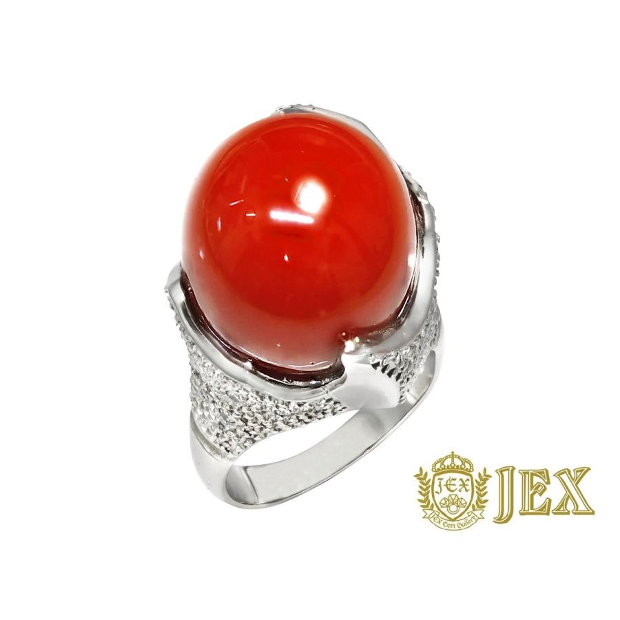 Pt900赤珊瑚ダイヤモンドリング Coral Pt900血赤珊瑚 ダイヤモンドリング NO.127561 : JEX宝石