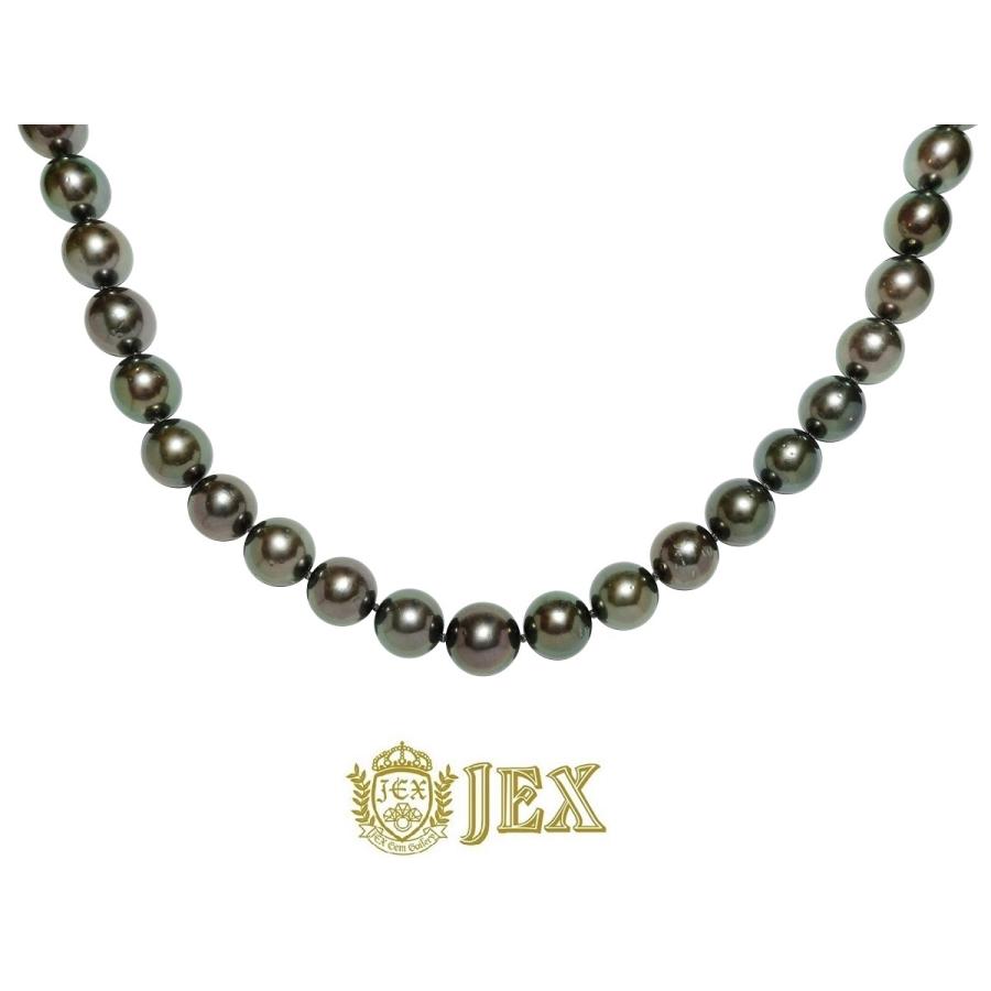 Black Pearl SV黒蝶パールネックレス NO.304846 : JEX宝石