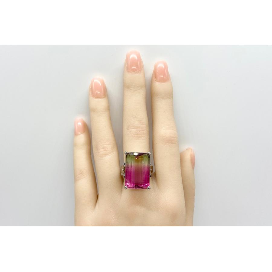 Bicolor Tourmaline K18WGバイカラートルマリンリング NO.49221 : JEX