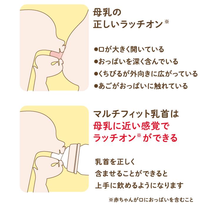 哺乳瓶 プラスチック製哺乳びん リラックマ マルチフィット 広口タイプ 240mL 日本製 チュチュ ChuChu ジェクス  爆買 | チュチュベビー | 09
