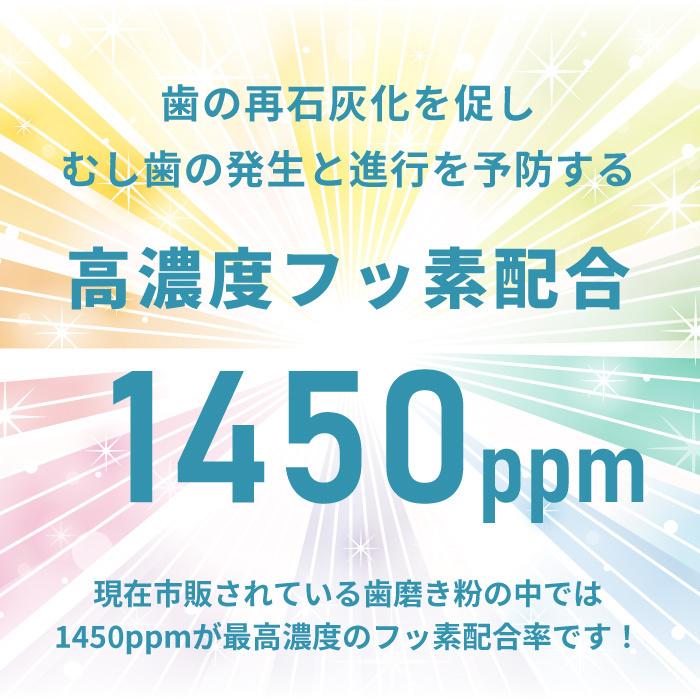 薬用ハミガキジェル 80g×4本 L8020乳酸菌使用ラクレッシュEX  歯周病予防 口臭 爆買 | ラクレッシュ | 04
