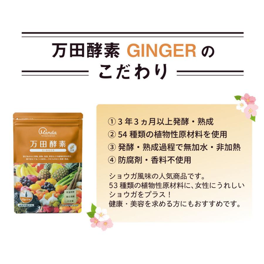 万田酵素 2個セット GINGER（ジンジャー） ペースト（分包）タイプ 2.5