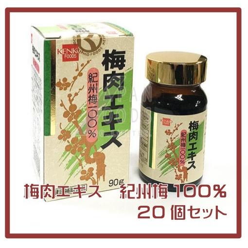 健康フーズ 梅肉エキス 90g 20個セット 送料無料 （健康フーズ