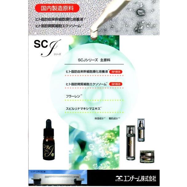 SCJ ベルフィーヌ (5mL) ヒト脂肪細胞順化培養エキス ヒト幹細胞培養液