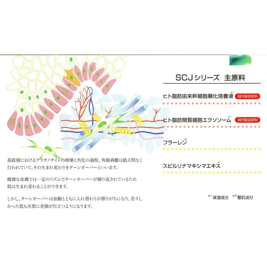 SCJ ベルフィーヌ (5mL) ヒト脂肪細胞順化培養エキス ヒト幹細胞培養液
