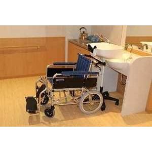 移動式シャンプー機 ポータブルシャンプー機 台 ユニット 訪問