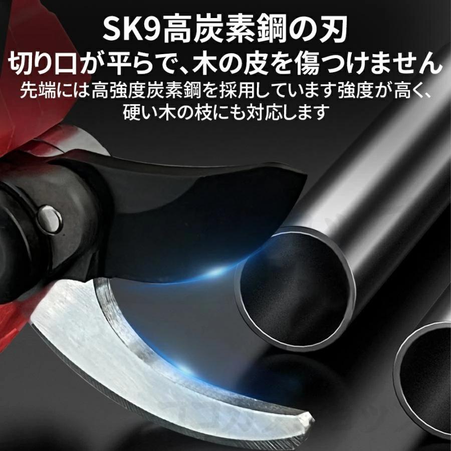電動 剪定ばさみ 電動バサミ 一台2役 高枝切り 家庭用 強力 コードレス 片手 伸縮 切断直径40mm 伸縮延長ポール 最長2m 庭木 伐採 果樹用 剪定鋏 園芸用剪定用具の画像