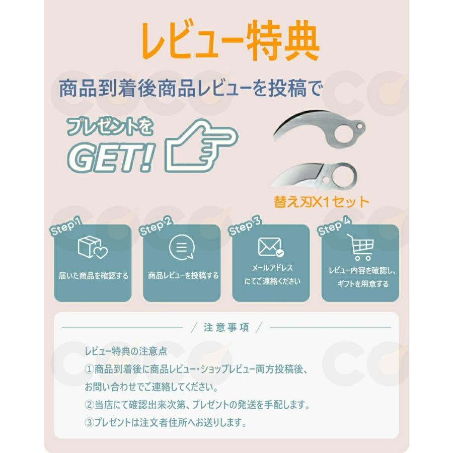 電動 剪定ばさみ 電動バサミ 一台2役 高枝切り 家庭用 強力 コードレス 片手 伸縮 切断直径40mm 伸縮延長ポール 最長2m 庭木 伐採 果樹用 剪定鋏 園芸用剪定用具の画像
