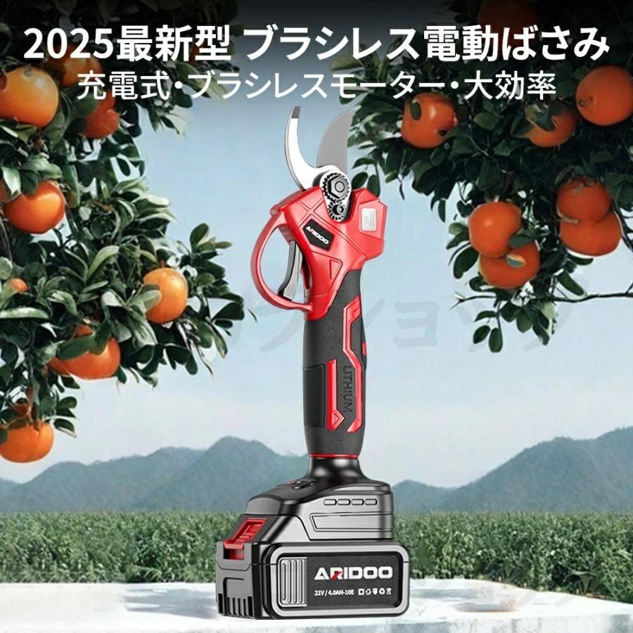電動 剪定ばさみ 電動バサミ 一台2役 高枝切り 家庭用 強力 コードレス 片手 伸縮 切断直径40mm 伸縮延長ポール 最長2m 庭木 伐採 果樹用 剪定鋏 園芸用剪定用具の画像