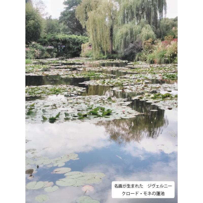 JHA 絵画 インテリア 油絵 額入り 額絵 世界の名画 モネ「睡蓮」特殊ゲル加工 W741×H588 AU-MO-15 日本製 複製画 美術館 樹脂フレームの画像