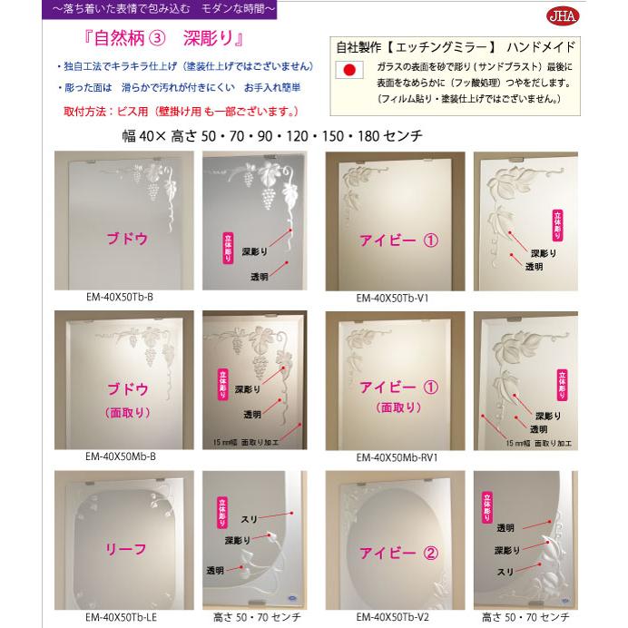 姿見鏡鑑 姿見鏡 JHA絵図面鏡鑑 (薔薇３) W400×H1200 (面取り) (螺旋釘用) EM-40X120Mb-R3 防湿 ノンひな型 入り口・入口 五体鏡 五体鏡鑑